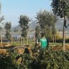 senza titolo-15